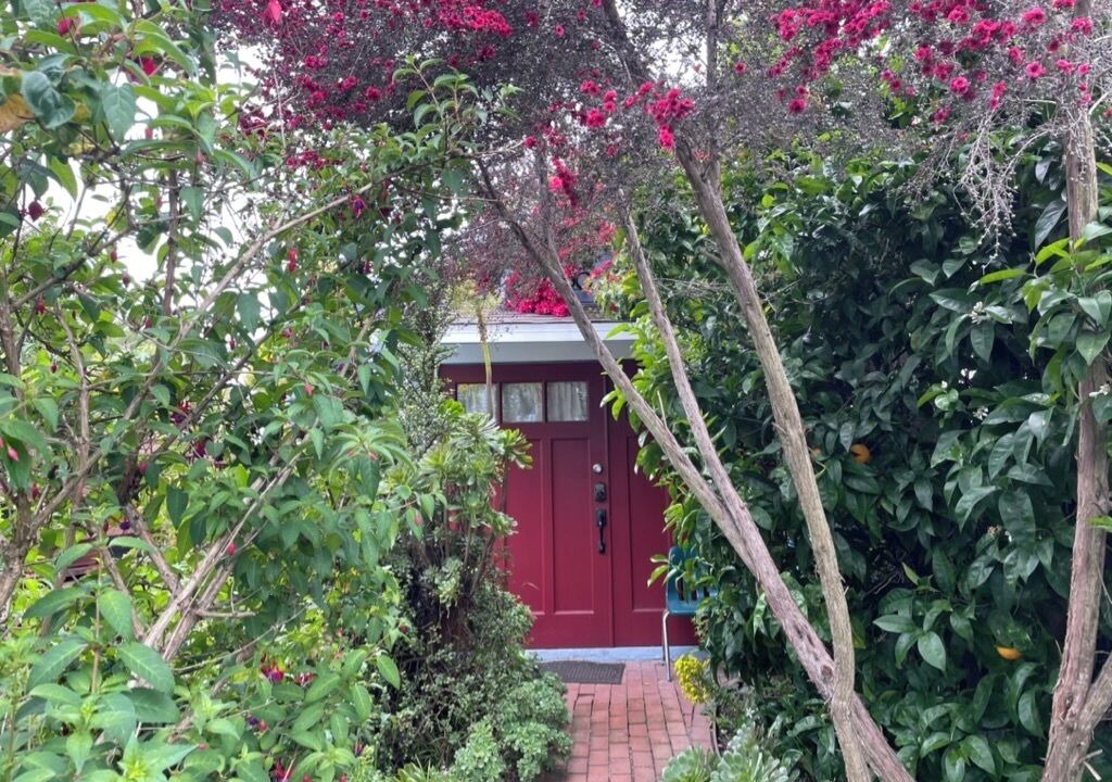 Photo of Outdoor in South Berkeley