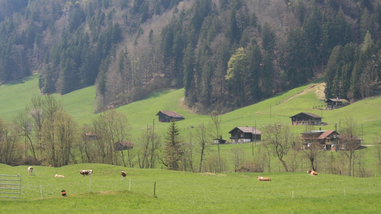 Photo of Outdoor in Kandergrund