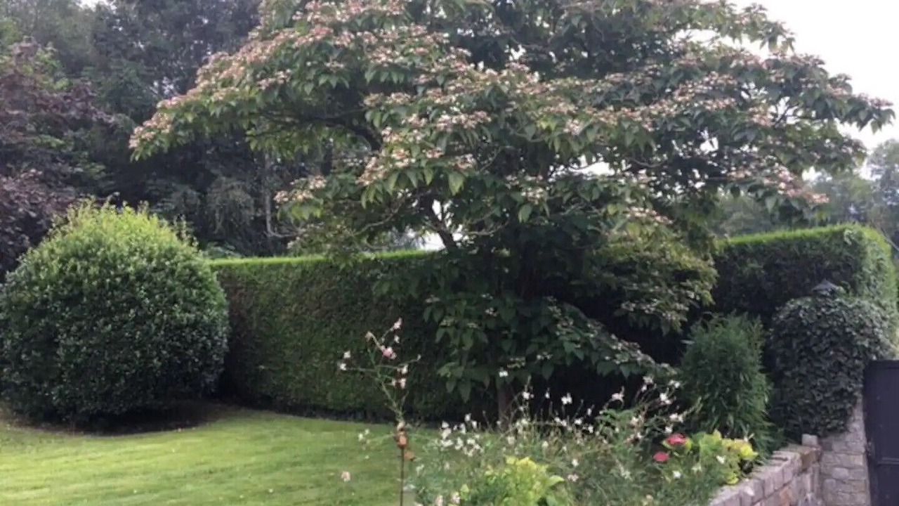 Photo of Outdoor in Saint-Pierre-le-Viger