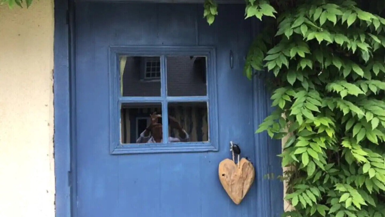 Photo of Outdoor in Saint-Pierre-le-Viger