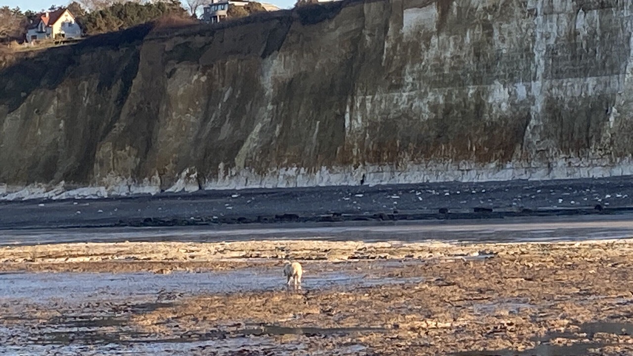 Photo of Others in Varengeville-sur-Mer