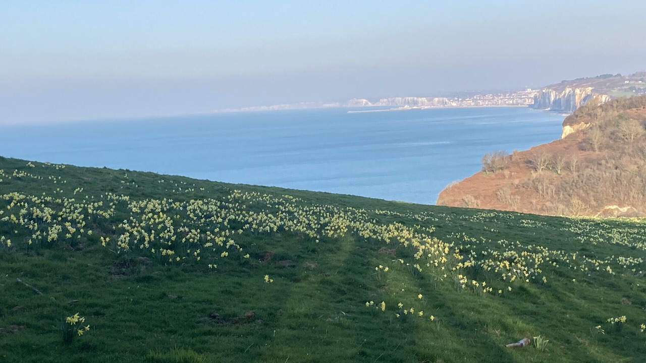 Photo of Others in Varengeville-sur-Mer