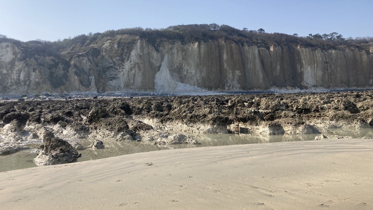 Photo of Others in Varengeville-sur-Mer