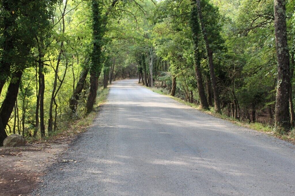 Photo of Others in Flayosc