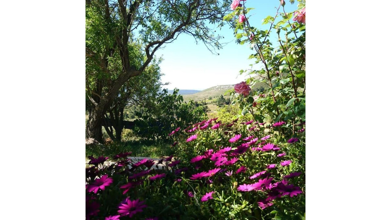 Photo of Outdoor in Tuchan