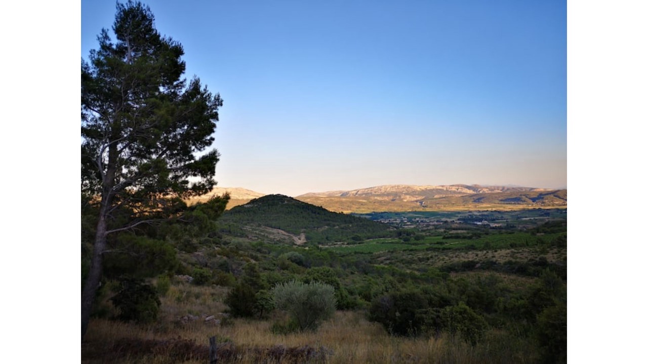 Photo of Others in Tuchan