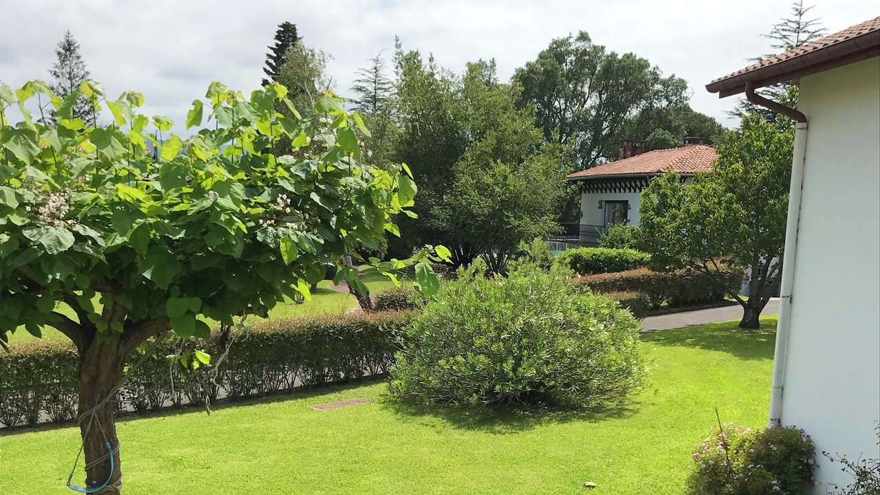 Photo of Outdoor in Hendaye