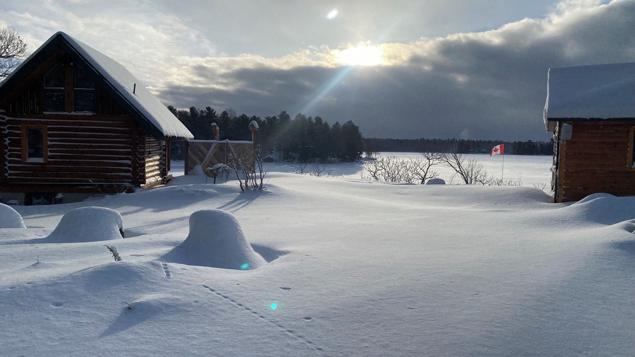 Photo of Others in Gravenhurst