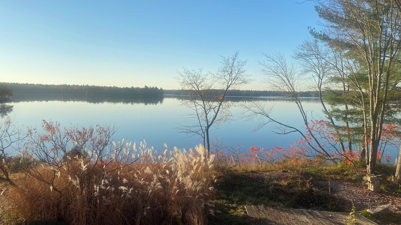 Photo of Others in Gravenhurst