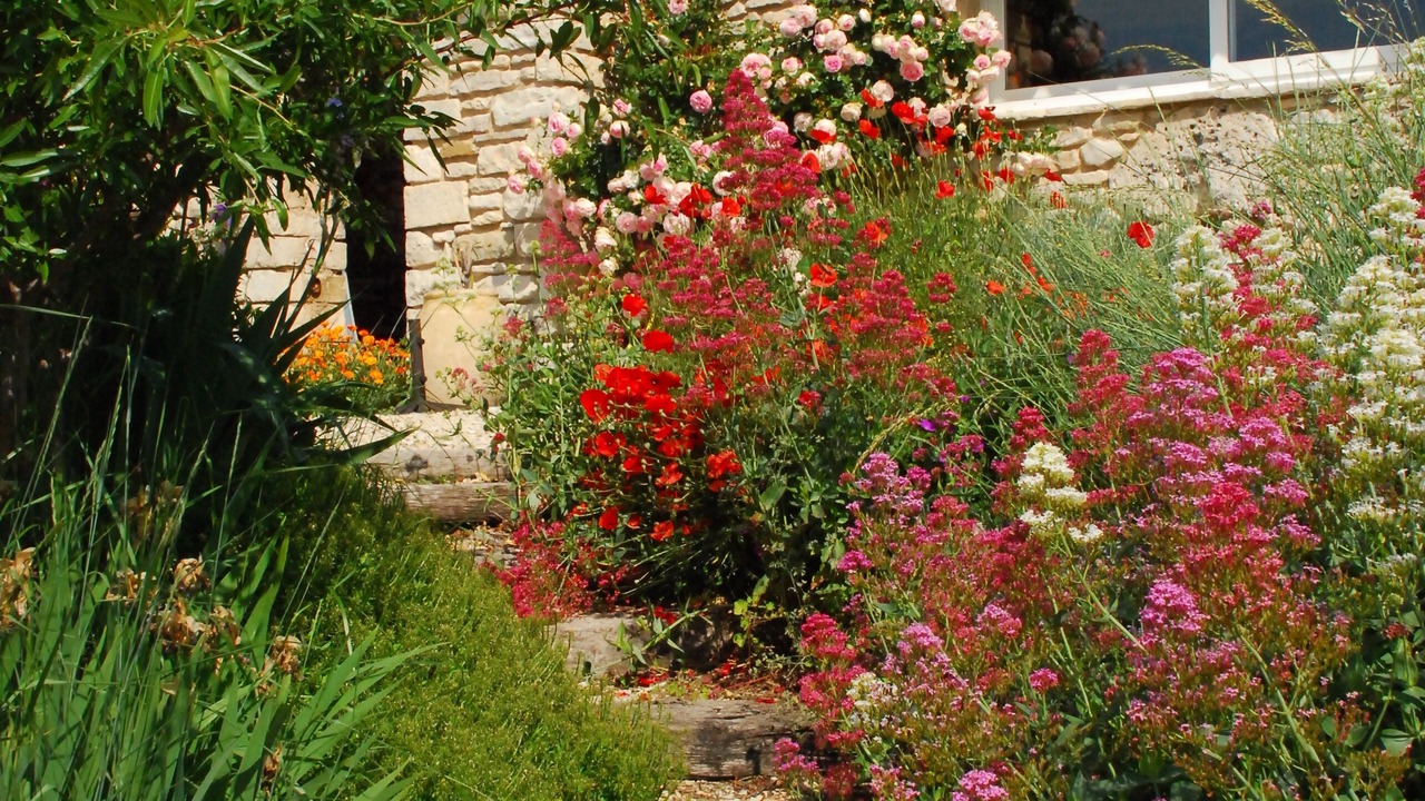 Photo of Outdoor in La Rochegiron