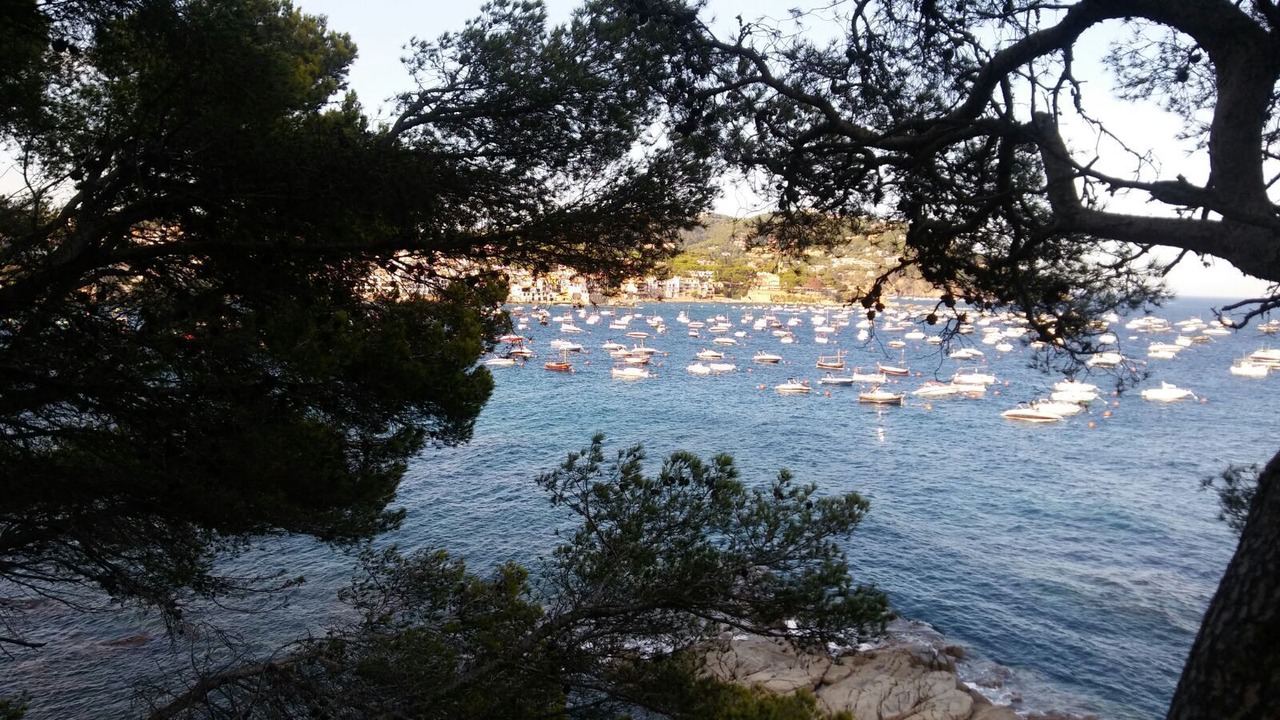 Photo of Others in Calella de Palafrugell