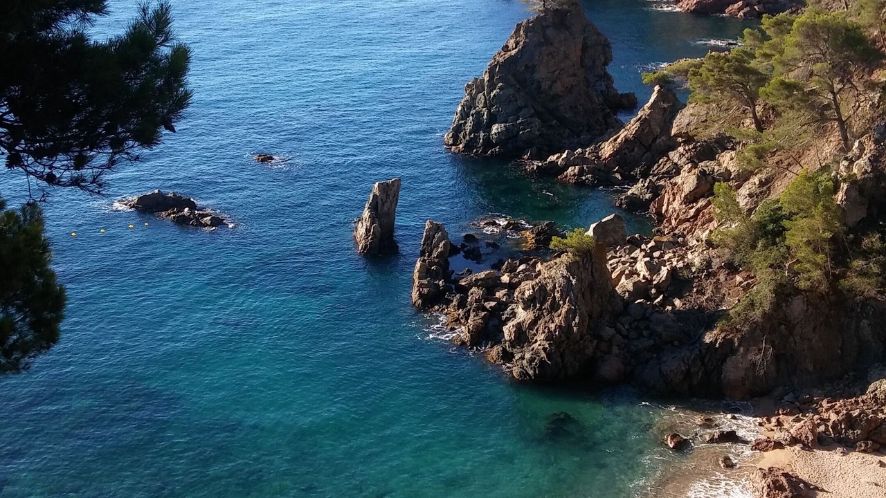 Photo of Others in Calella de Palafrugell