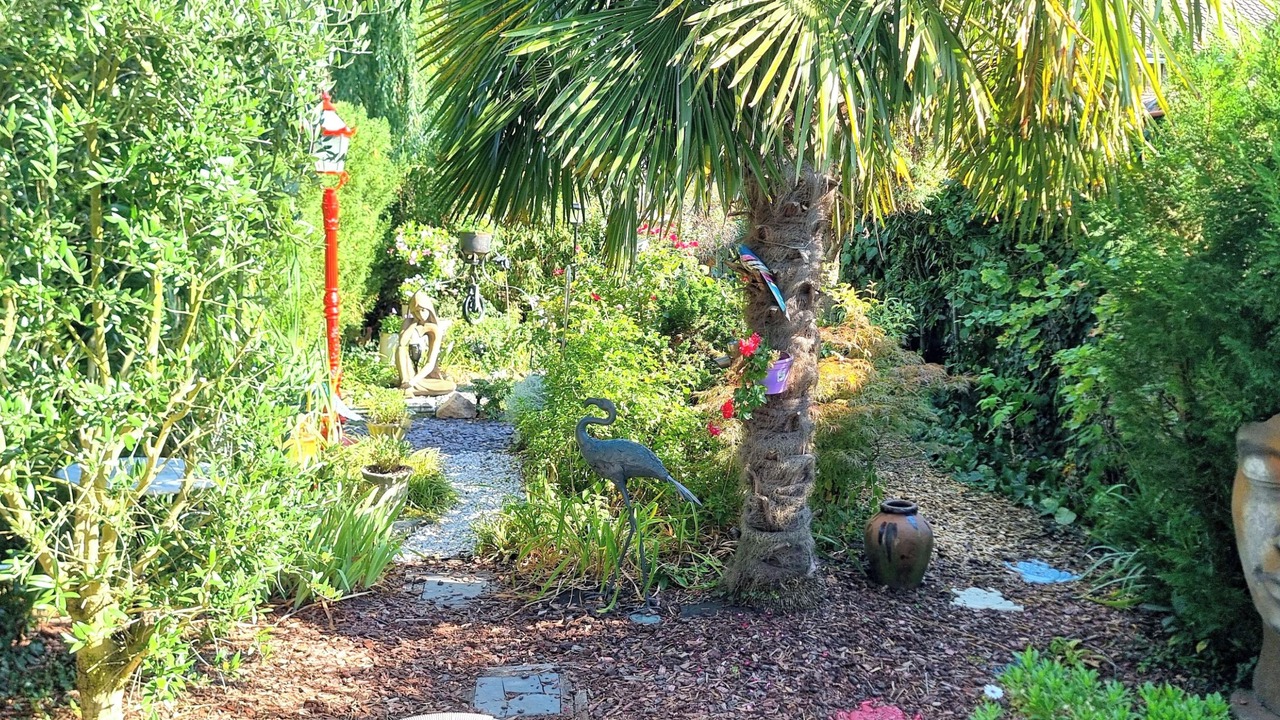 Photo of Outdoor in Ande