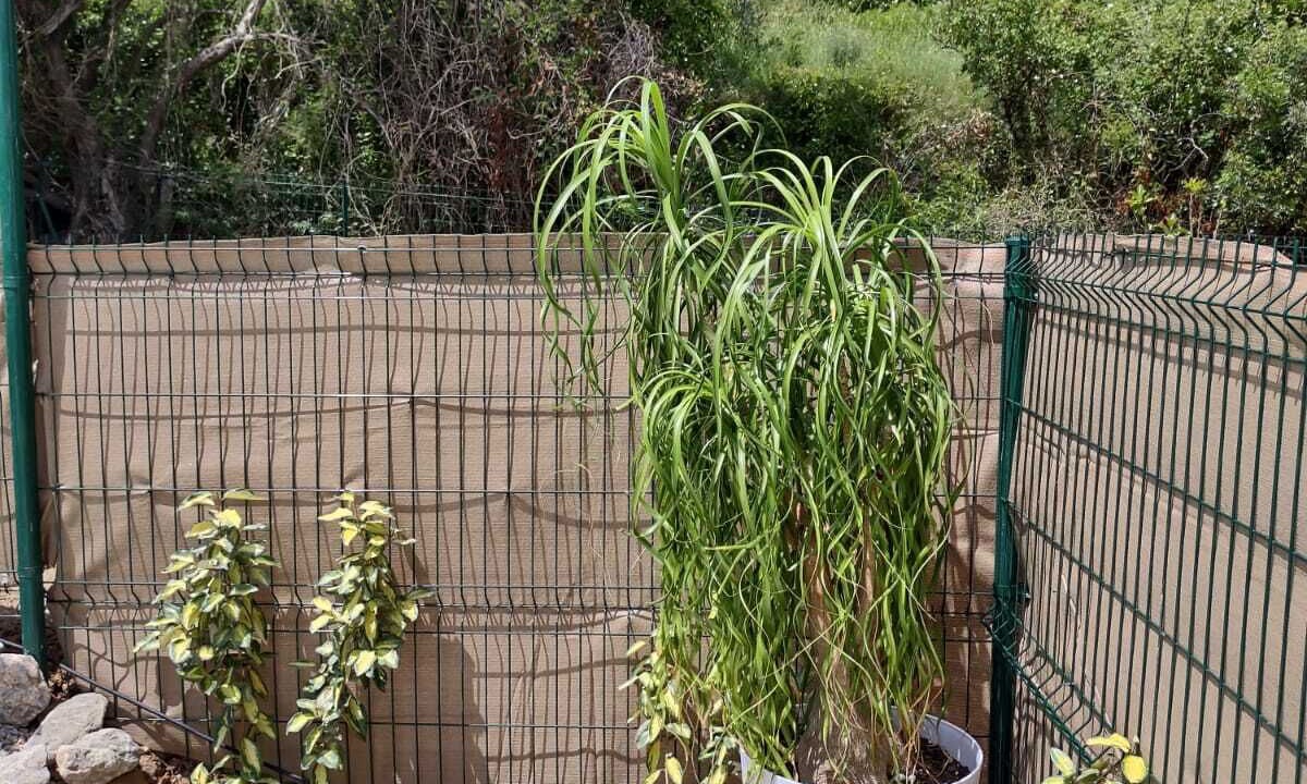 Photo of Outdoor in Durban-Corbieres