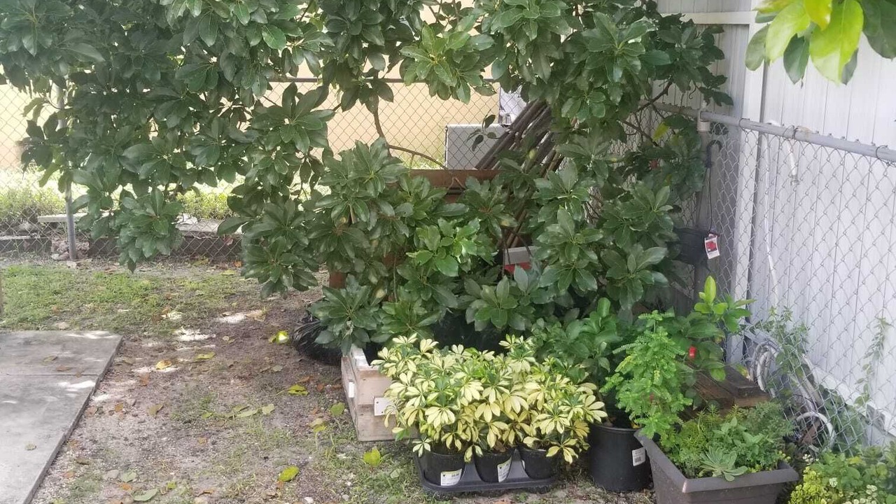 Photo of Outdoor in West Little Havana