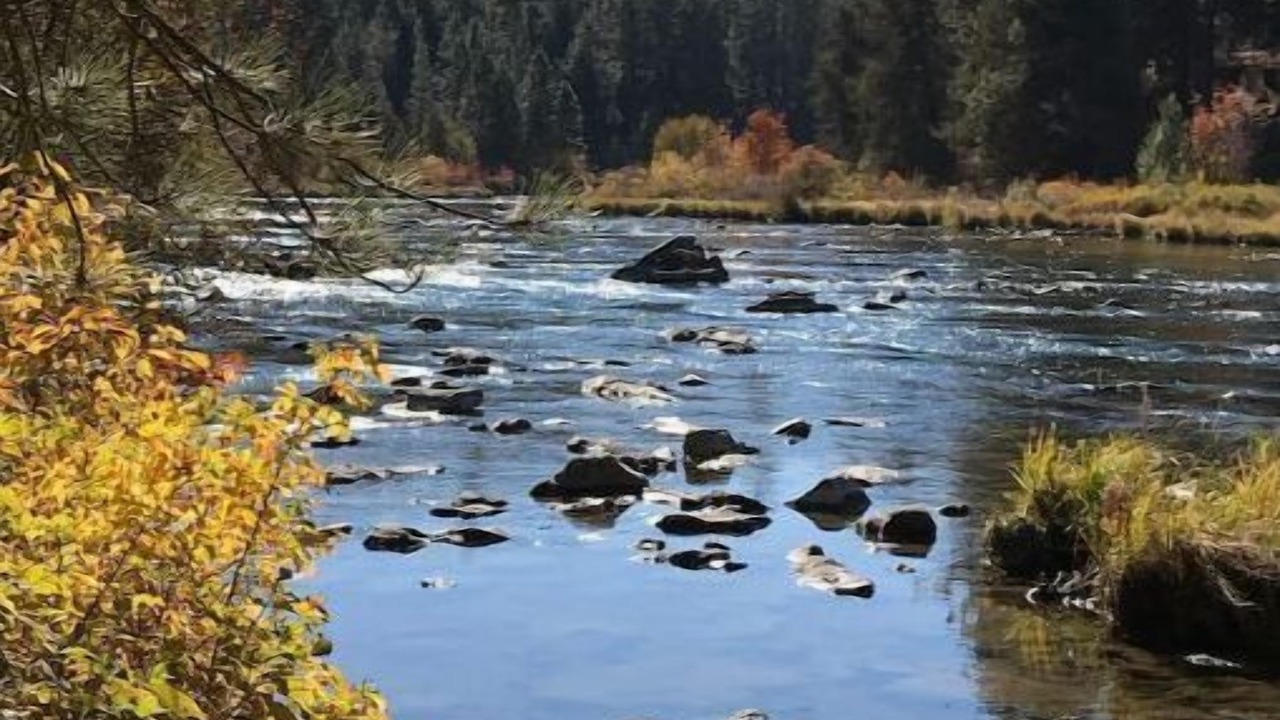 Photo of Others in Southern Crossing