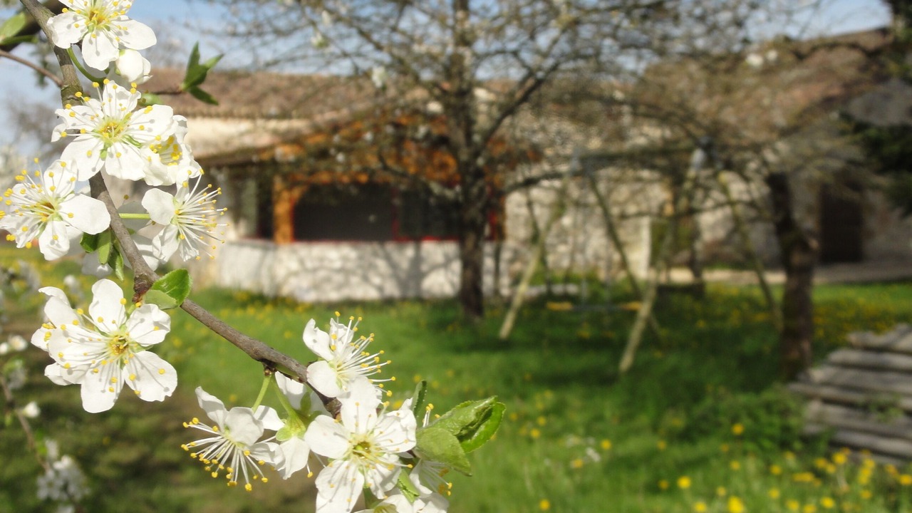 Photo of Outdoor in Rampieux