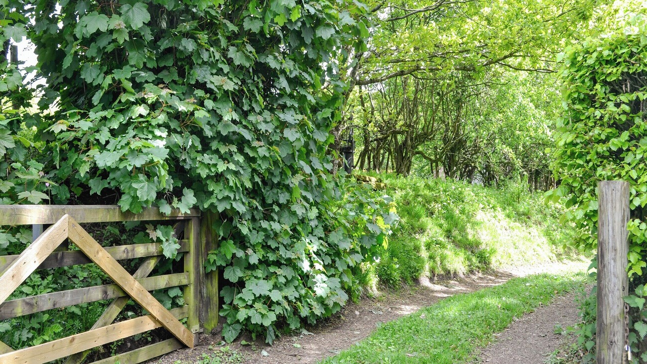 Photo of Others in Annan