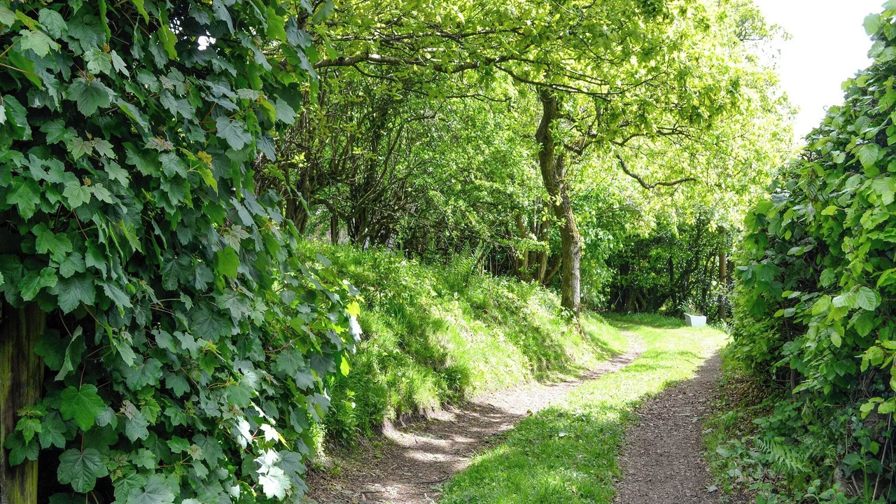 Photo of Others in Annan