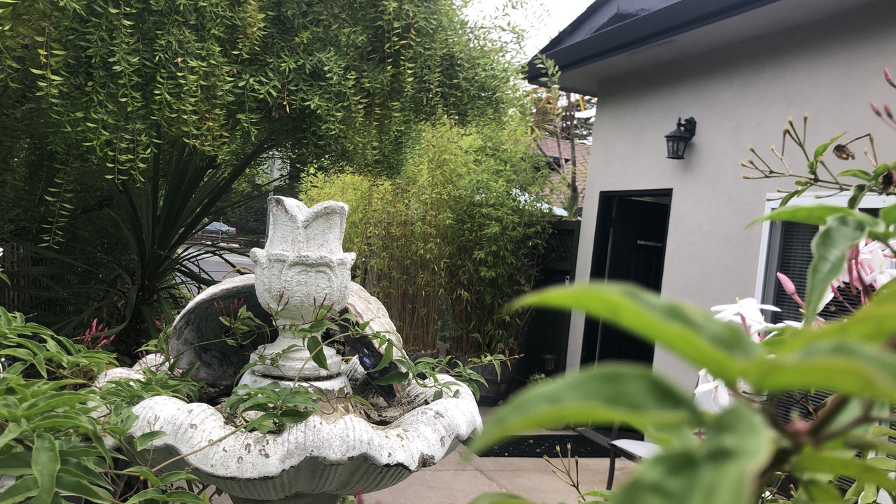 Photo of Others in Aptos