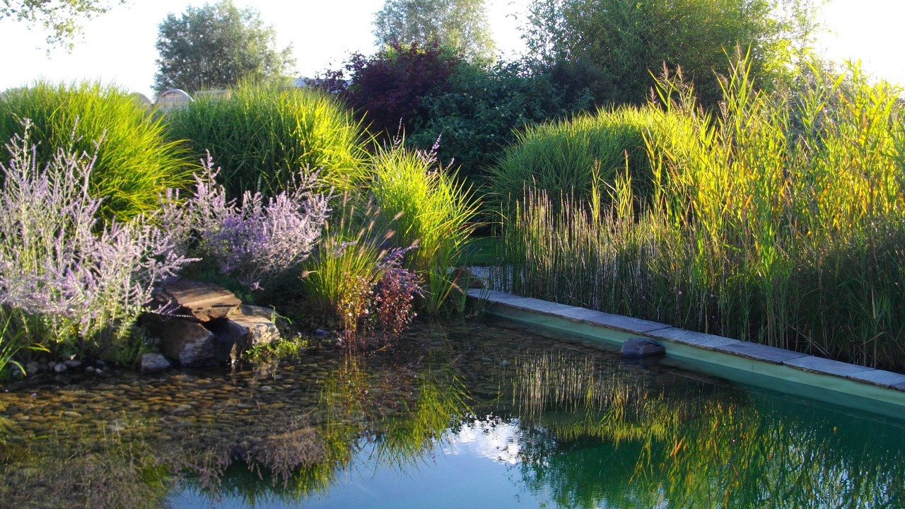 Photo of Outdoor in La Fresnais