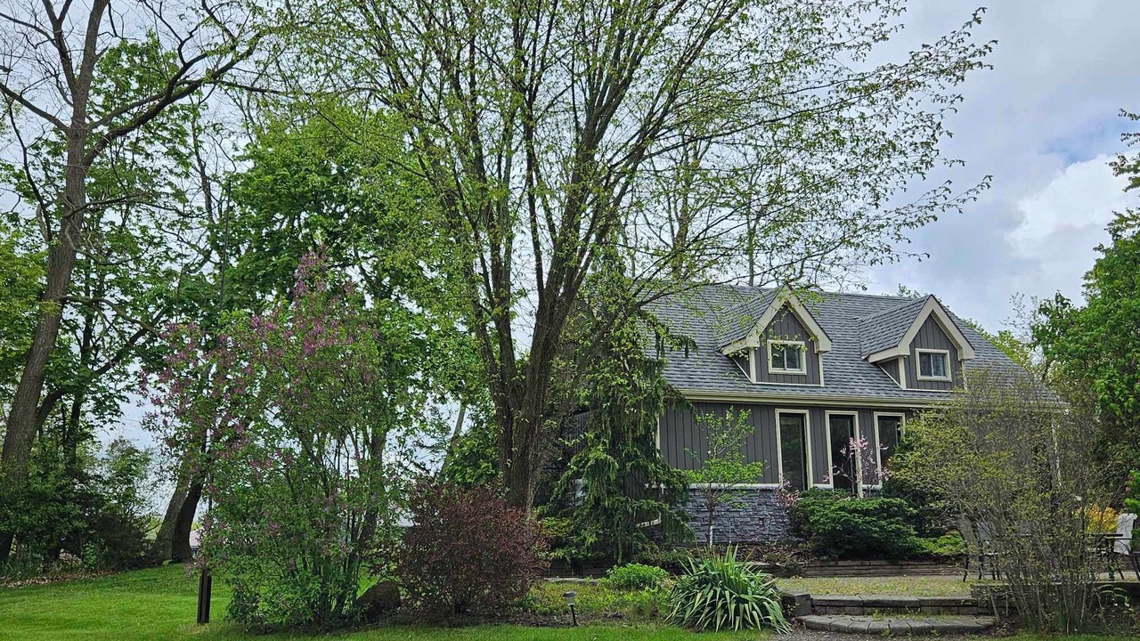Photo of Outdoor in Picton