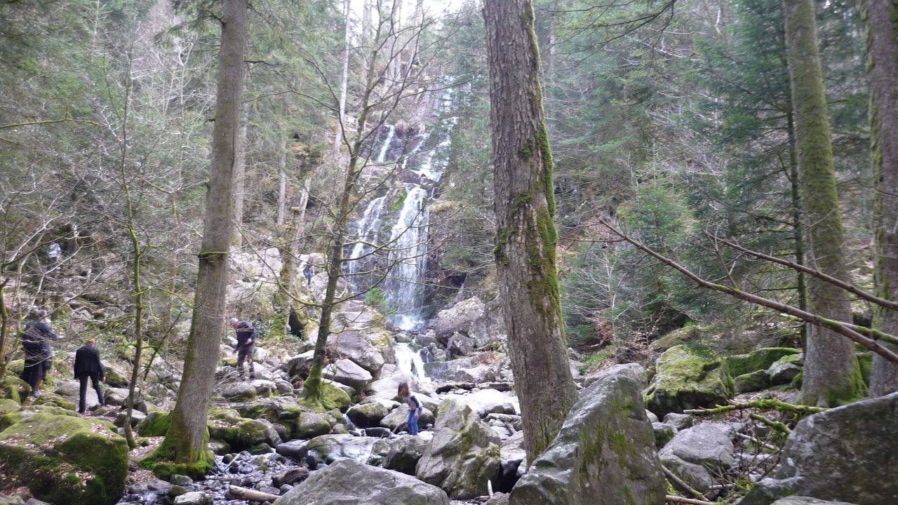 Photo of Others in Saint-Nabord