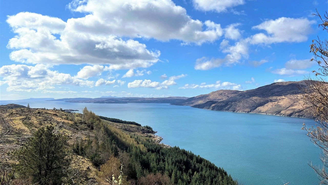 Photo of Others in Glenelg