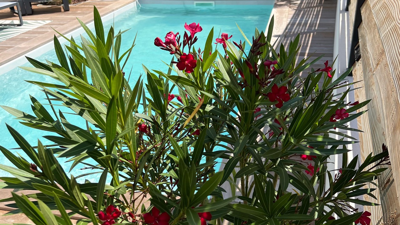 Photo of Outdoor in La Roche-sur-Yon