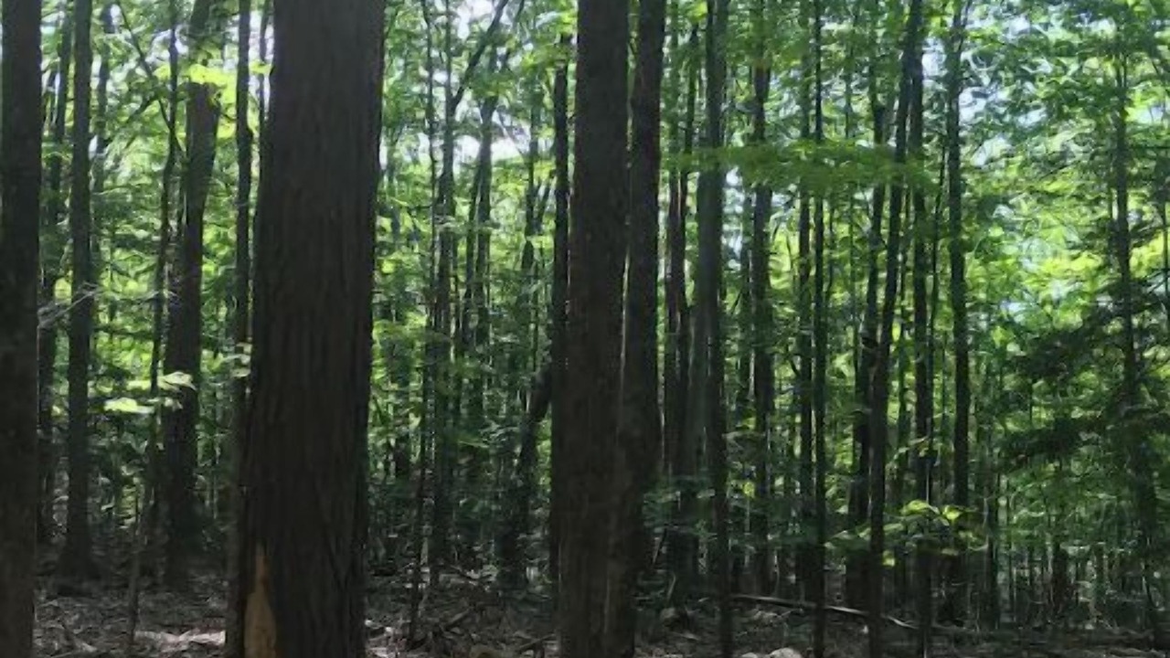 Photo of Outdoor in Kerhonkson