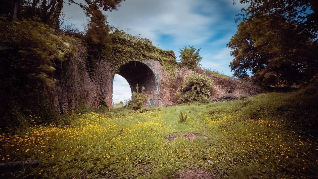 Photo of Others in Battle