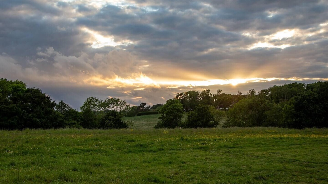 Photo of Others in Battle