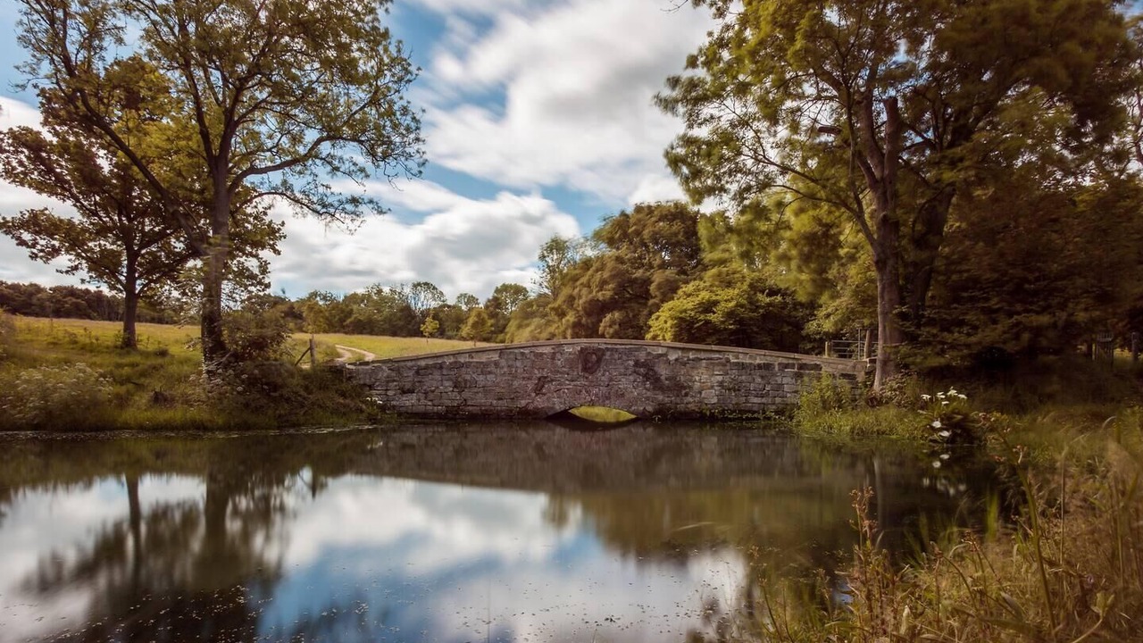 Photo of Others in Battle