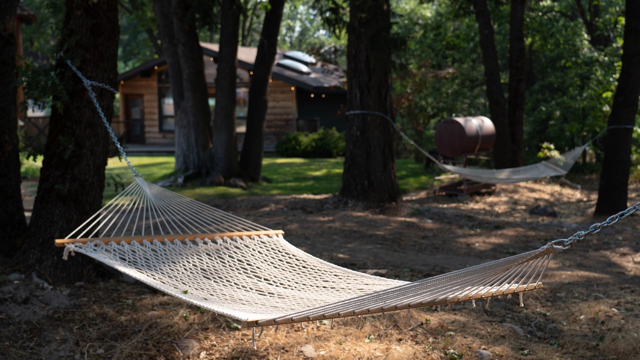 Photo of Others in Mount Shasta