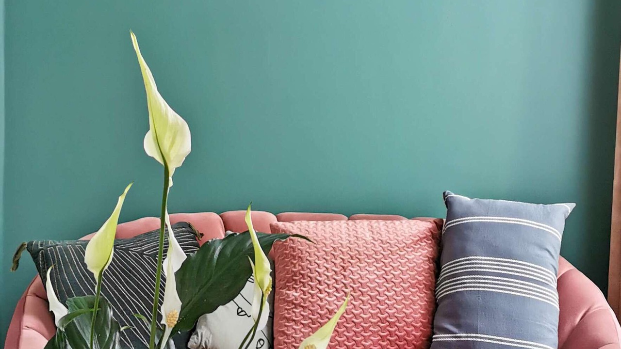 Photo of Others in Saint-Quentin