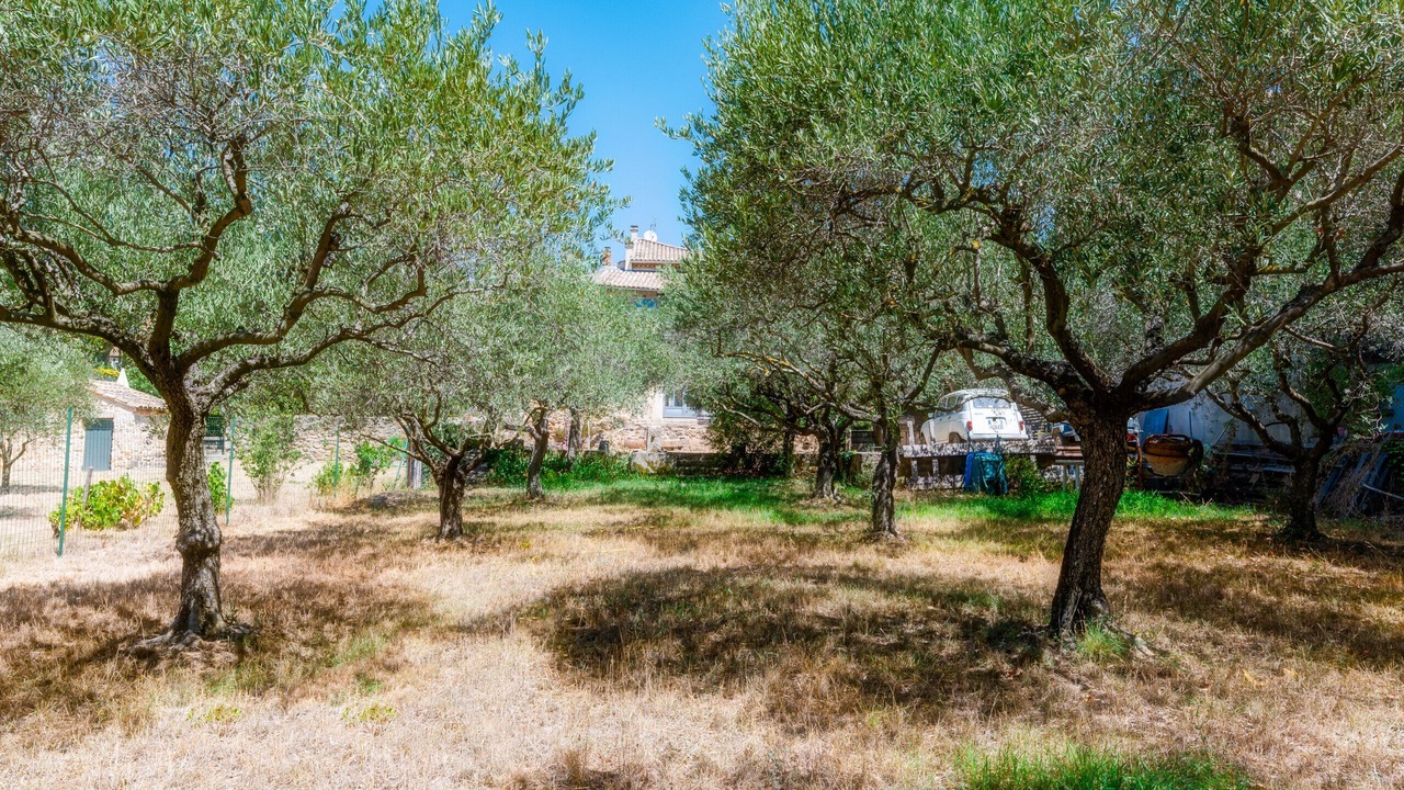 Photo of Outdoor in Serignan-du-Comtat