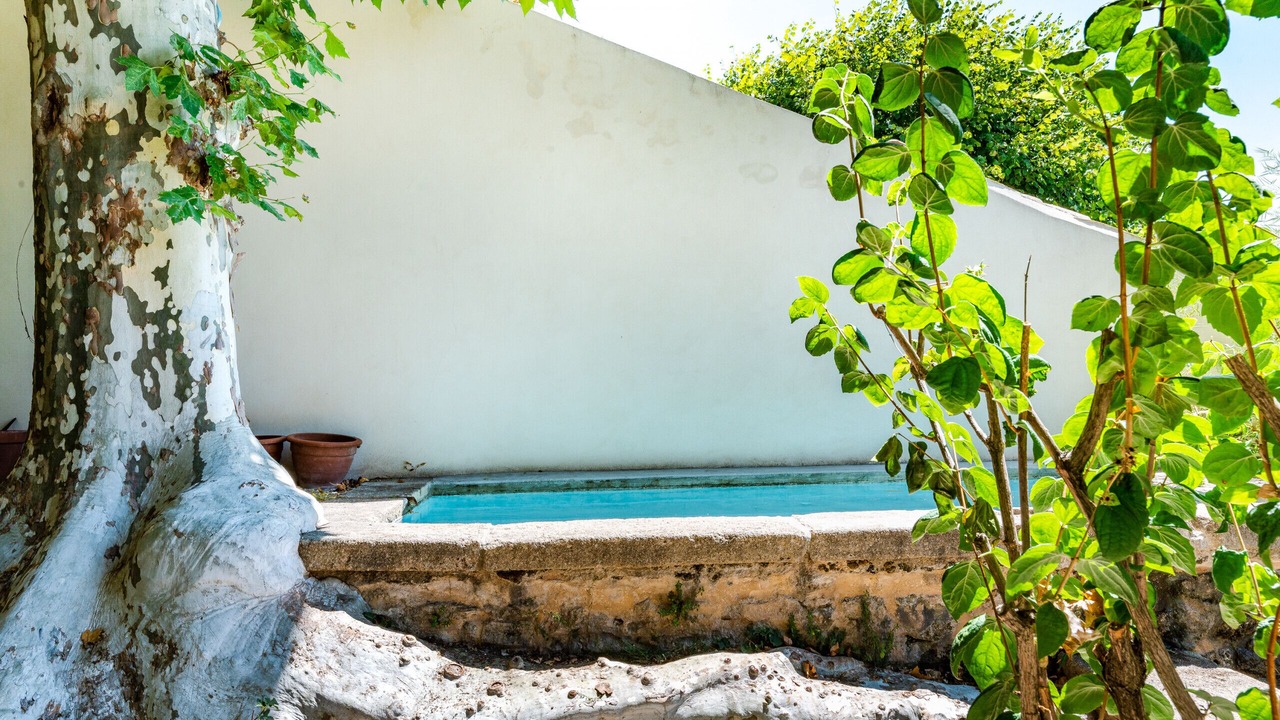 Photo of Outdoor in Serignan-du-Comtat