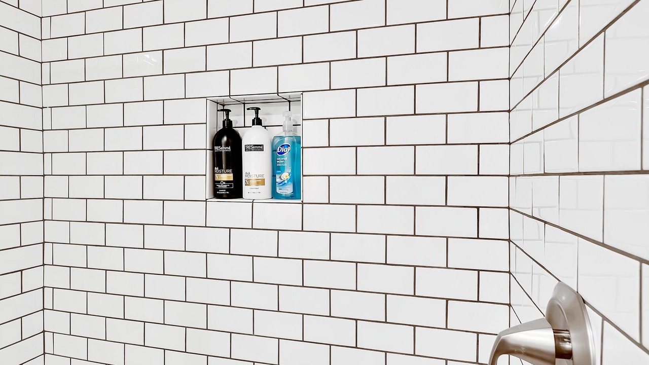 Photo of Bathroom in Brazos