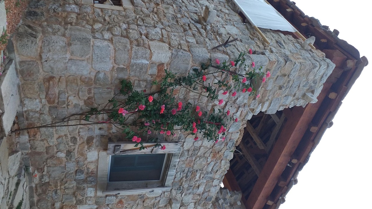 Photo of Outdoor in Trpanj