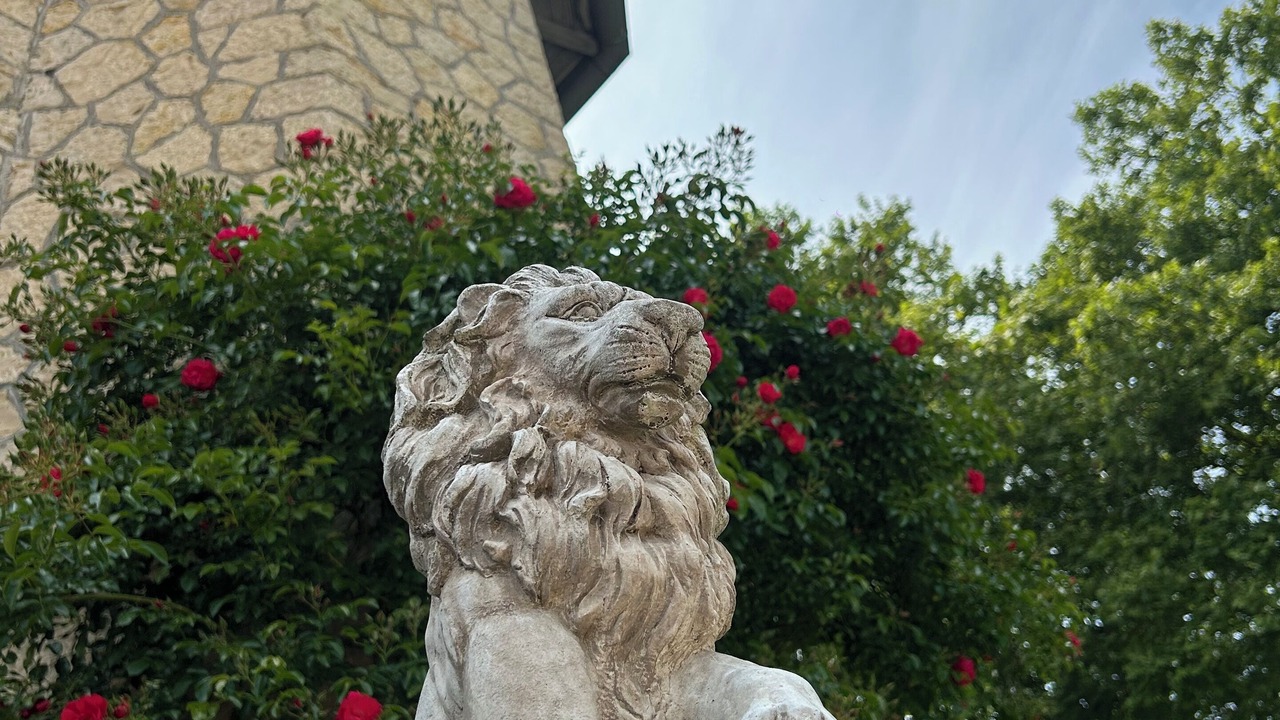Photo of Outdoor in Salies-du-Salat