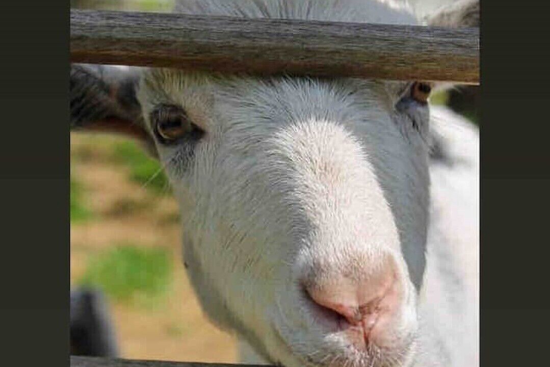 Photo of Bedroom in Hoptonheath