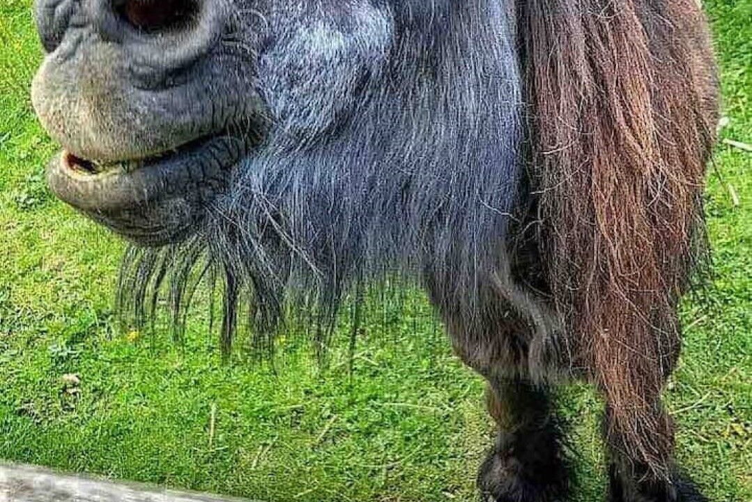 Photo of Outdoor in Hoptonheath