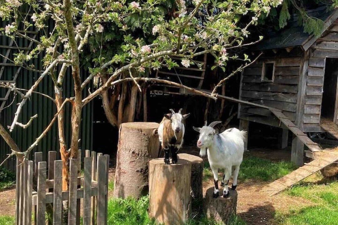 Photo of Outdoor in Hoptonheath