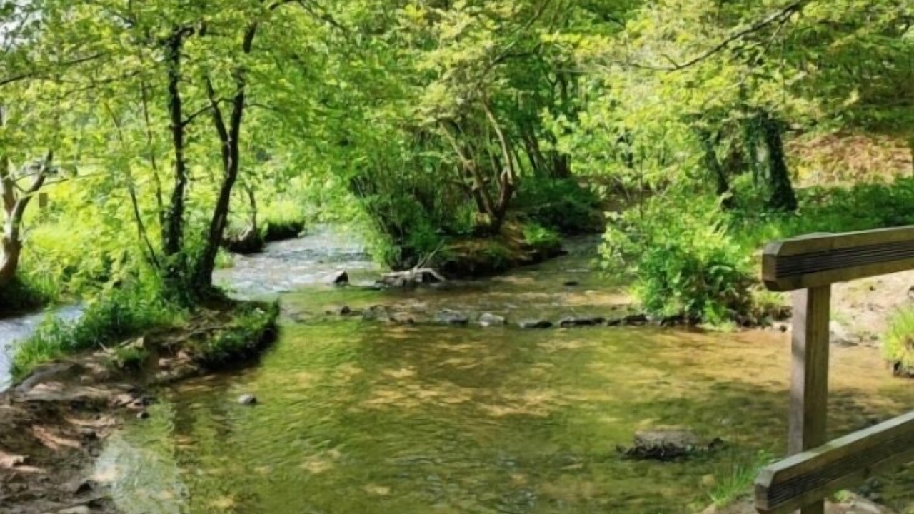 Photo of Outdoor in Sartilly-Baie-Bocage