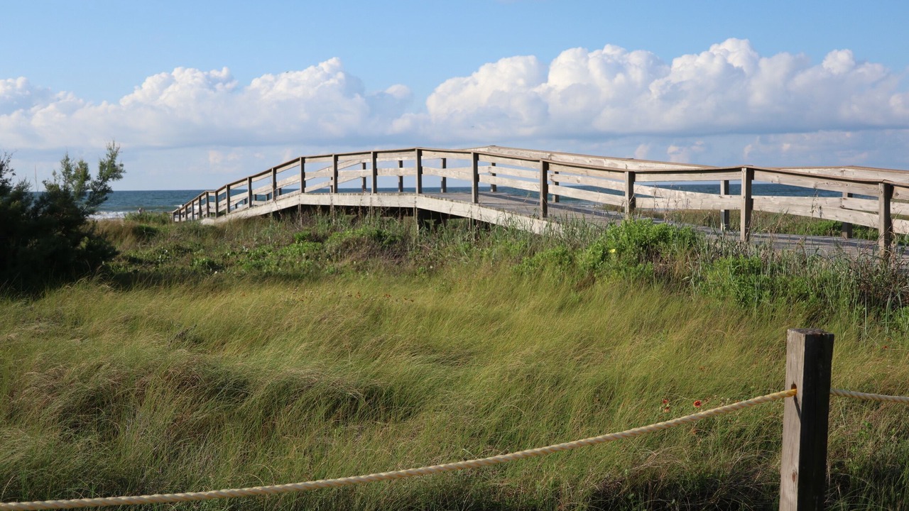 Photo of Others in Galveston