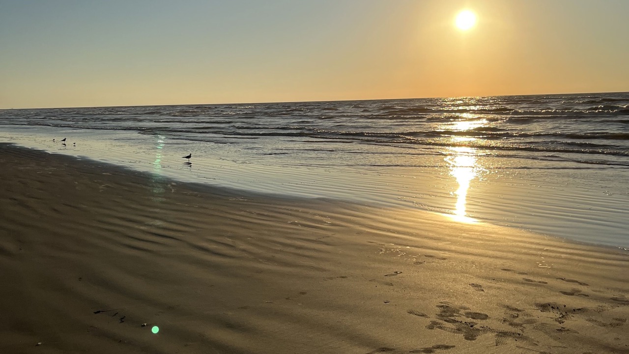 Photo of Others in Galveston