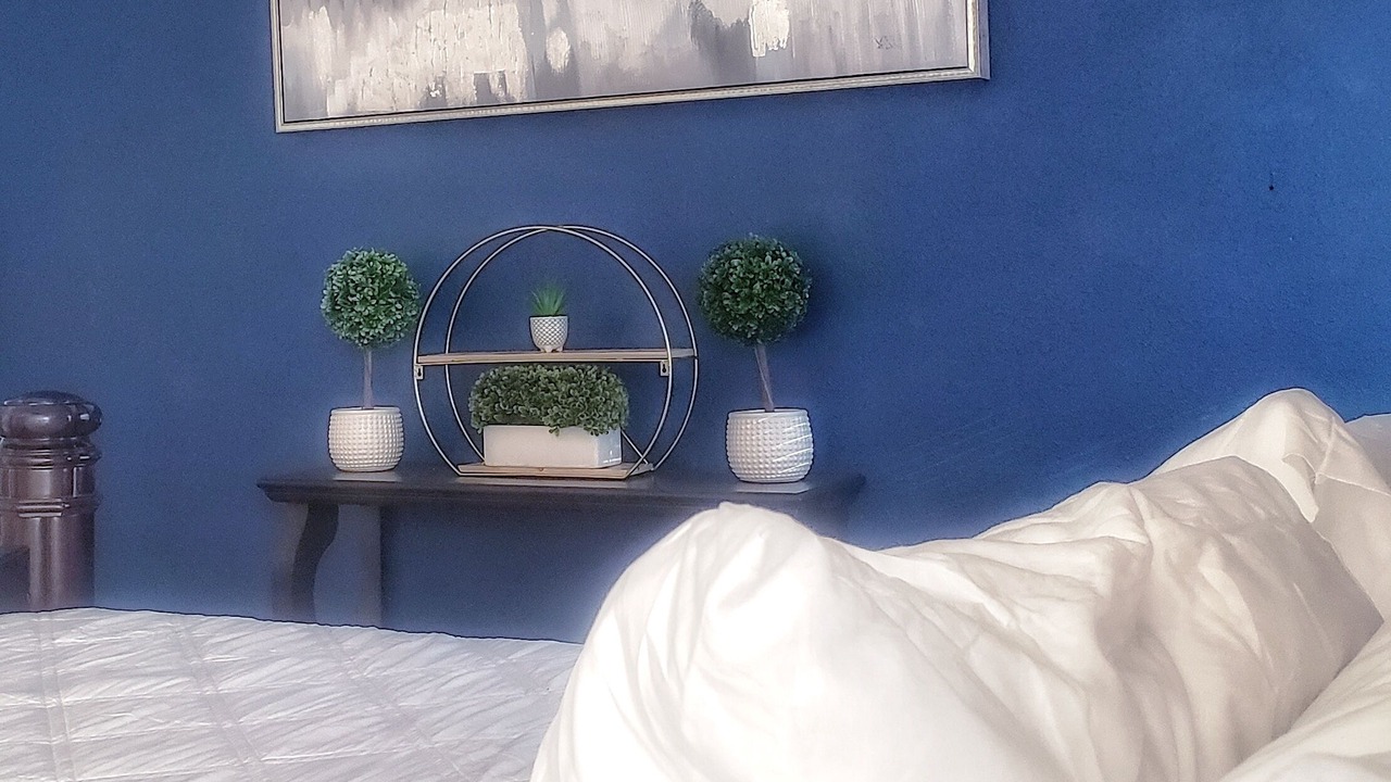 Photo of Bedroom in Waynesville