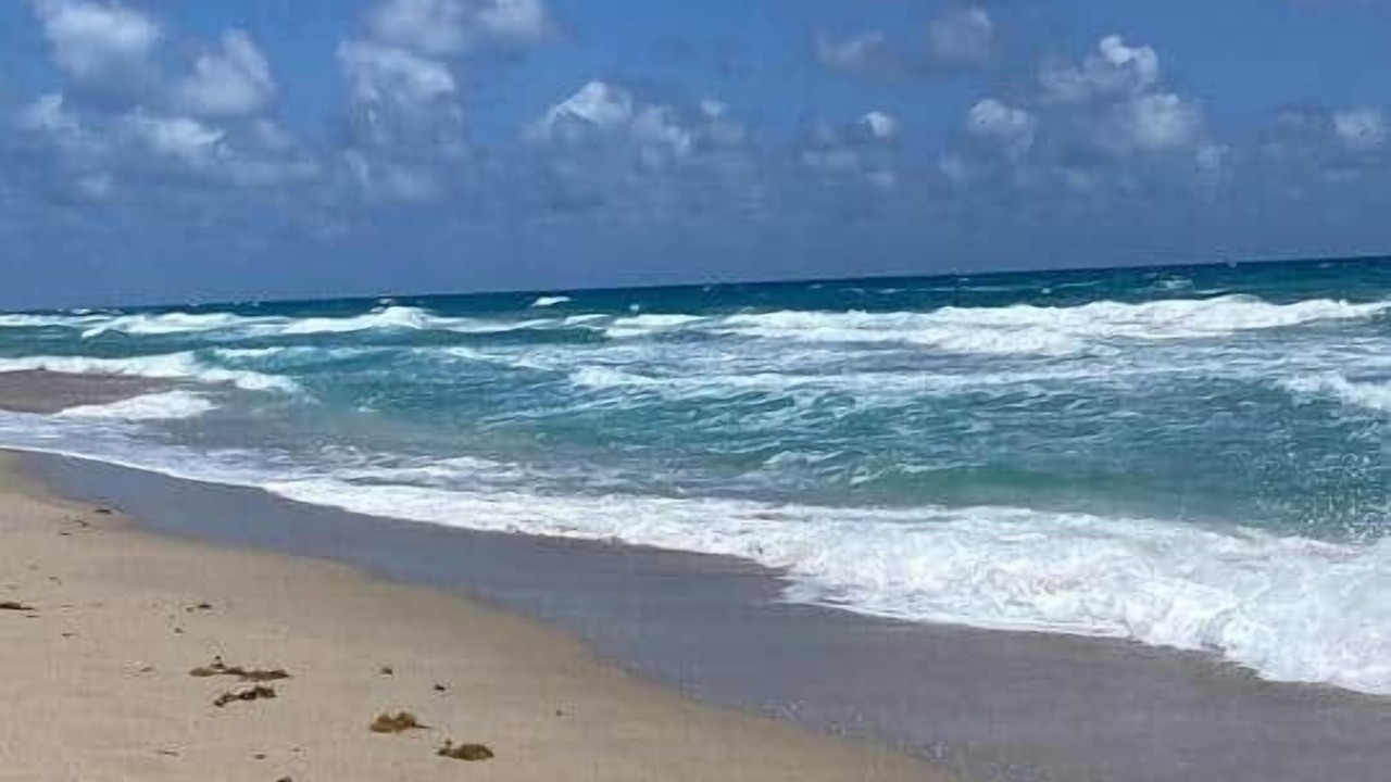 Photo of Others in Singer Island