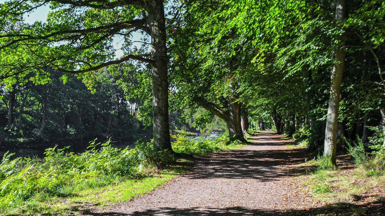 Photo of Others in Crieff