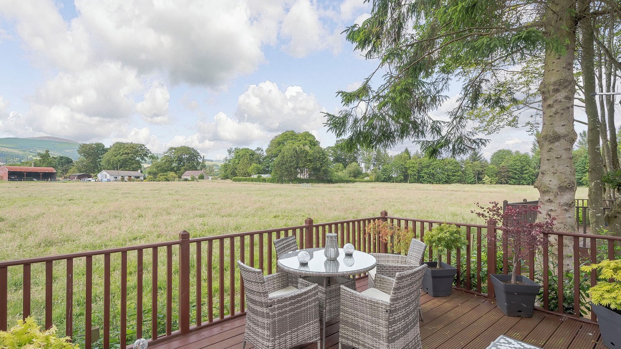 Photo of Others in Dollar